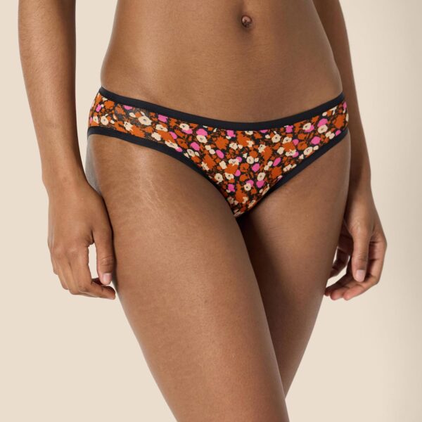 Amazon Essentials Womens Cotton Bikini Brief Underwear (Available in Plus Size)